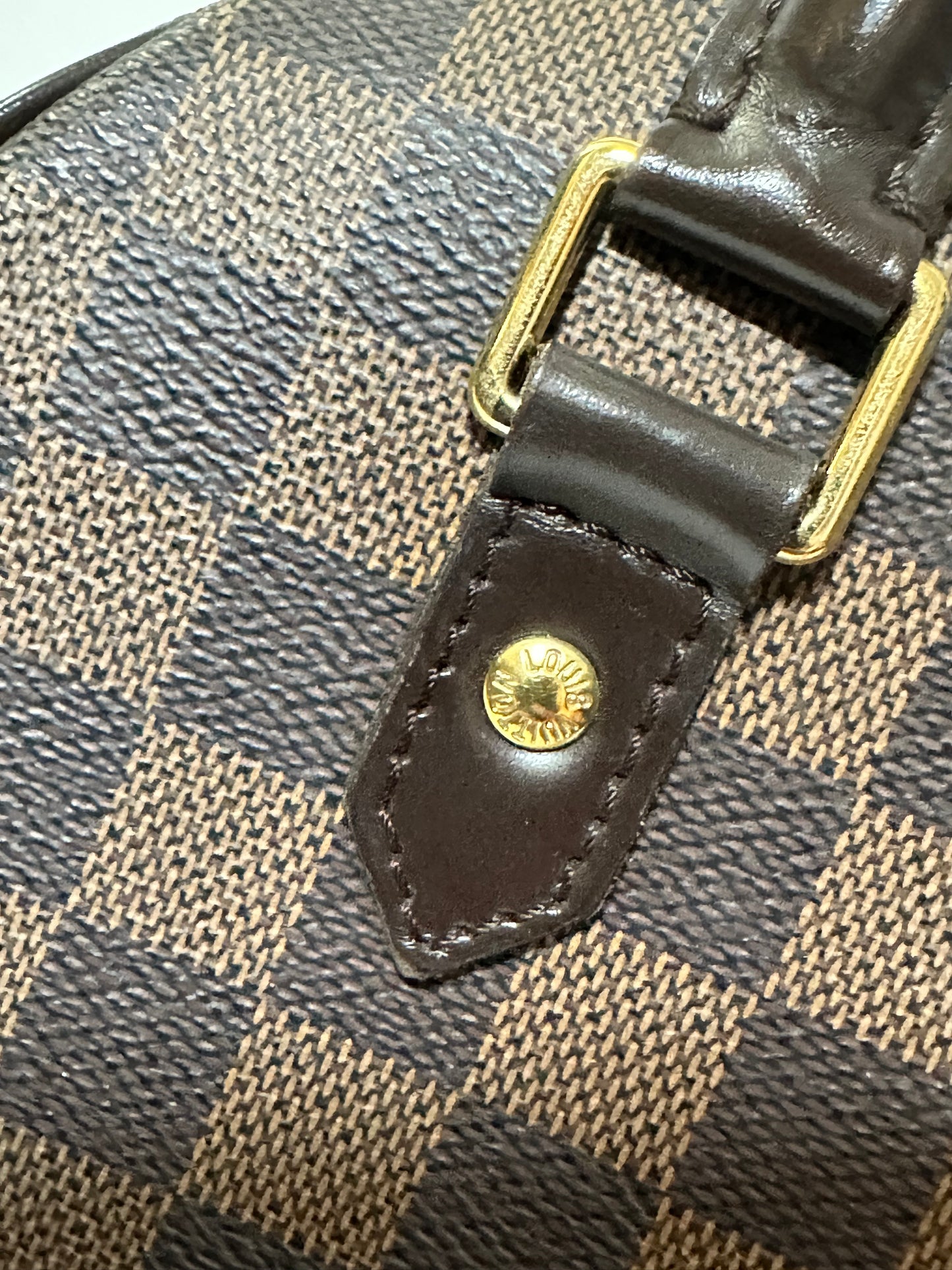 Louis Vuitton Rivera Bag